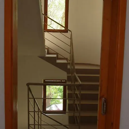 Guest house Liana 3*