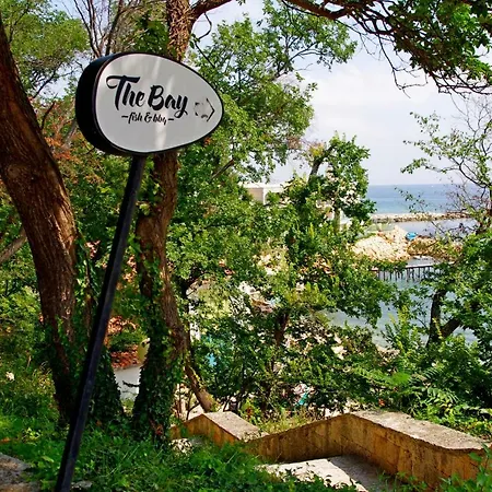 Liana Guest house 3*